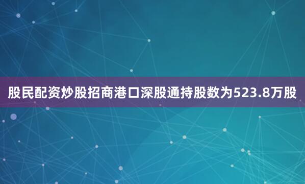 股民配资炒股招商港口深股通持股数为523.8万股