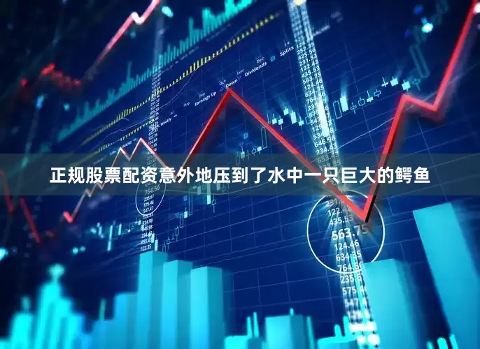 正规股票配资意外地压到了水中一只巨大的鳄鱼