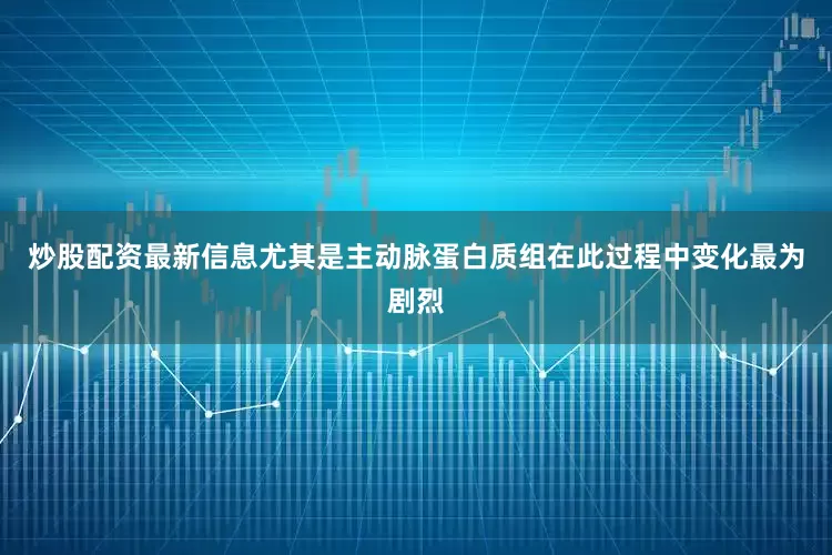 炒股配资最新信息尤其是主动脉蛋白质组在此过程中变化最为剧烈