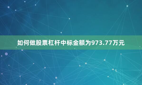 如何做股票杠杆中标金额为973.77万元