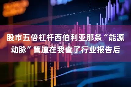 股市五倍杠杆西伯利亚那条“能源动脉”管道在我查了行业报告后